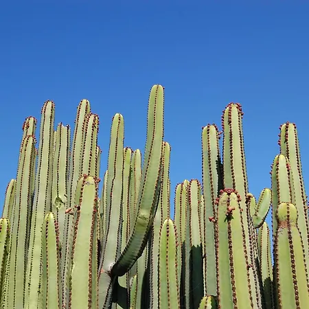 Βίλα 2 By Villagrancanaria Salobre (Gran Canaria)